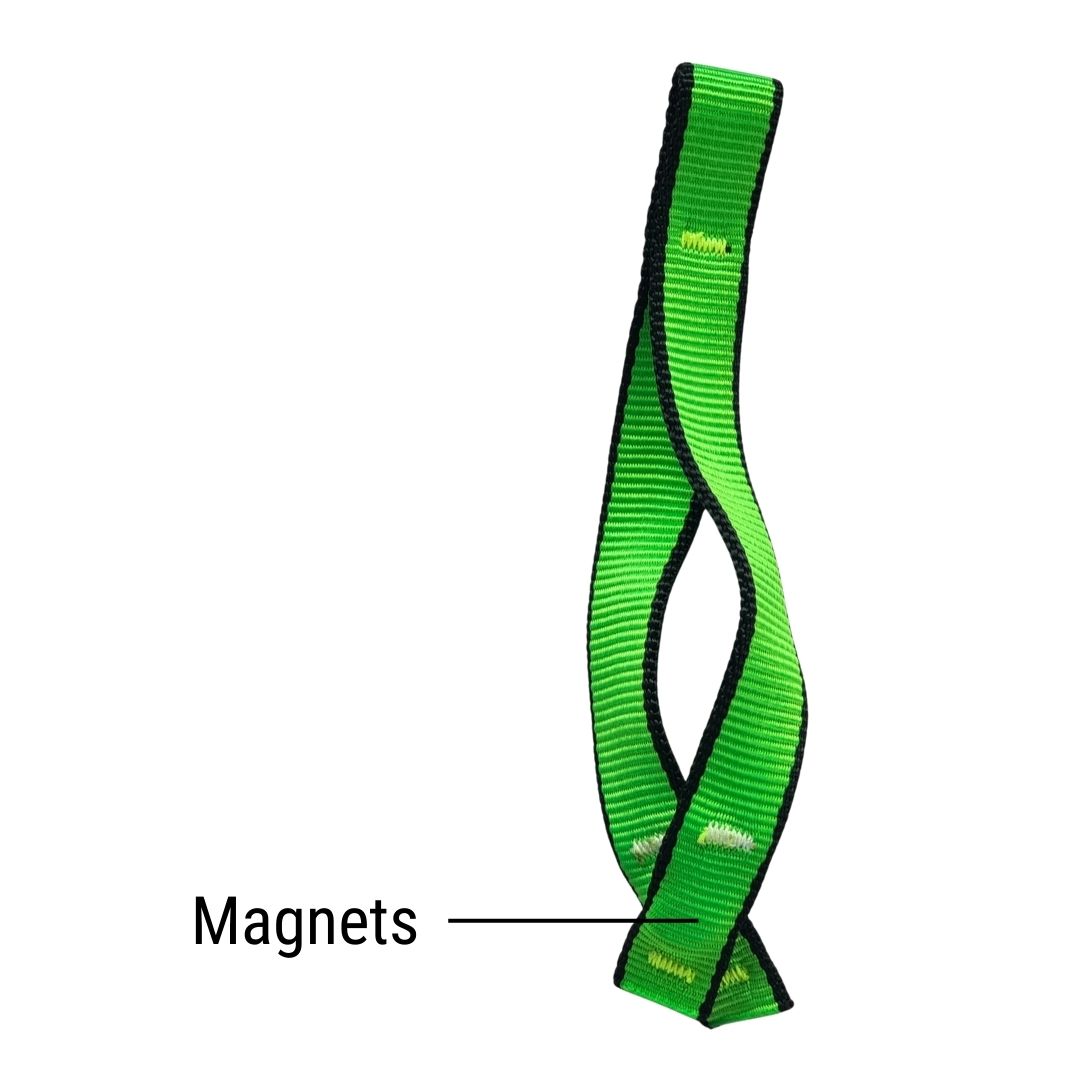 green leash holder